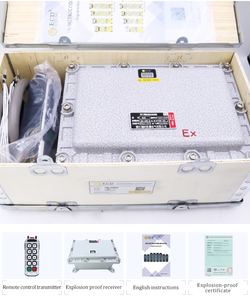 Fonte di fabbrica comoda gru a prova di esplosione telecomando senza fili - Product Image 6