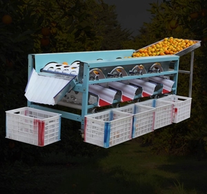 China Supplier Wholesale Automatic Orange <strong>Sorting</strong> <strong>Machine</strong> Fruit <strong>and</strong> Vegetable <strong>Sorting</strong> <strong>Machine</strong> Potato Grading <strong>Machine</strong> - Product Image 5