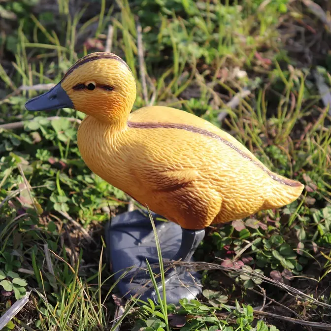 Preço de fábrica Novo Tipo PE Plástico Caça Pato Pássaro Decoy Bebê Pato Para Decoração Do Jardim