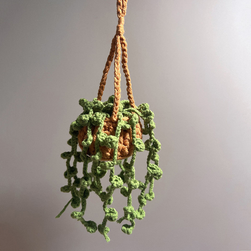 pothos verde 1