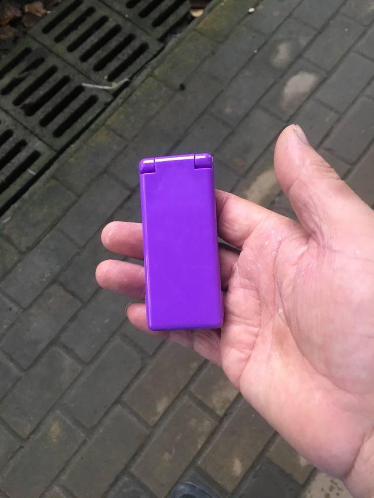 Viola