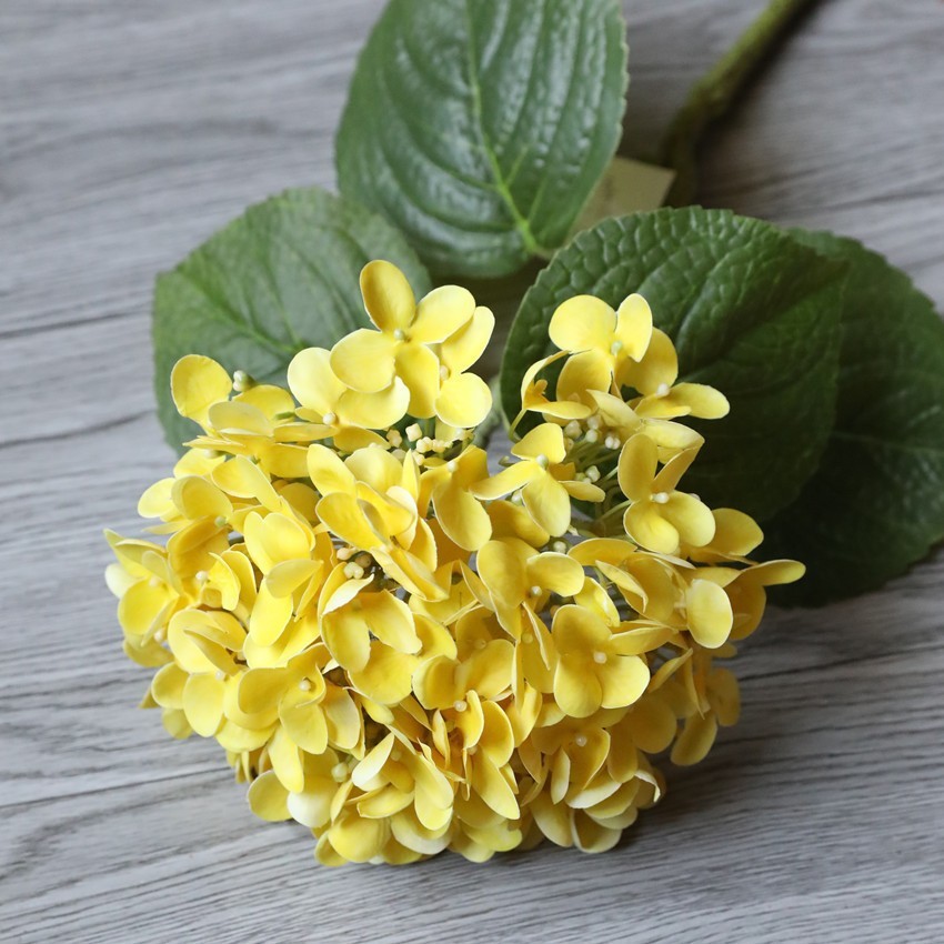 Jaune