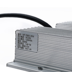 <strong>Led</strong> Flashing Module 30w 40w 150*80mm <strong>Led</strong> Module IP67 for Landscape Light Garden Lamp - Product Image 3