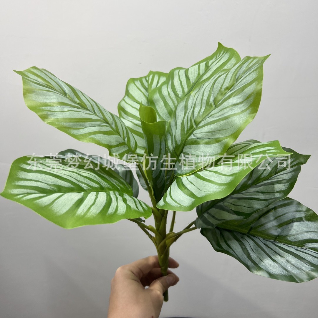 Gros paquet de feuilles de pommier