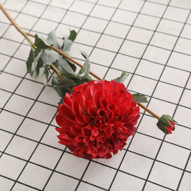 #5 red