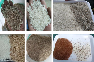 Clasificador de color de arroz CCD, máquina clasificadora de color al por mayor para granos, cereales, trigo, maíz, cacahuete, frijoles, semillas, té, nueces, clasificador de color - Product Image 5