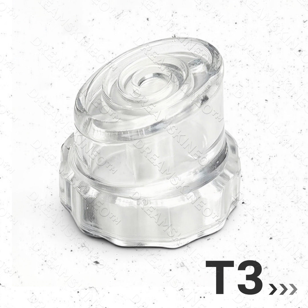 T3