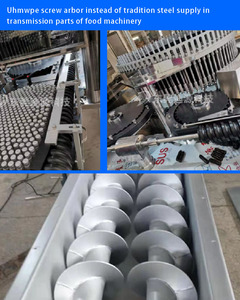 Parafusos de plástico de processamento, acessórios de plástico autolubrificantes resistentes ao desgaste, parafuso de alimentação de garrafas de transmissão <span class=keywords><strong>UHMWPE</strong></span>