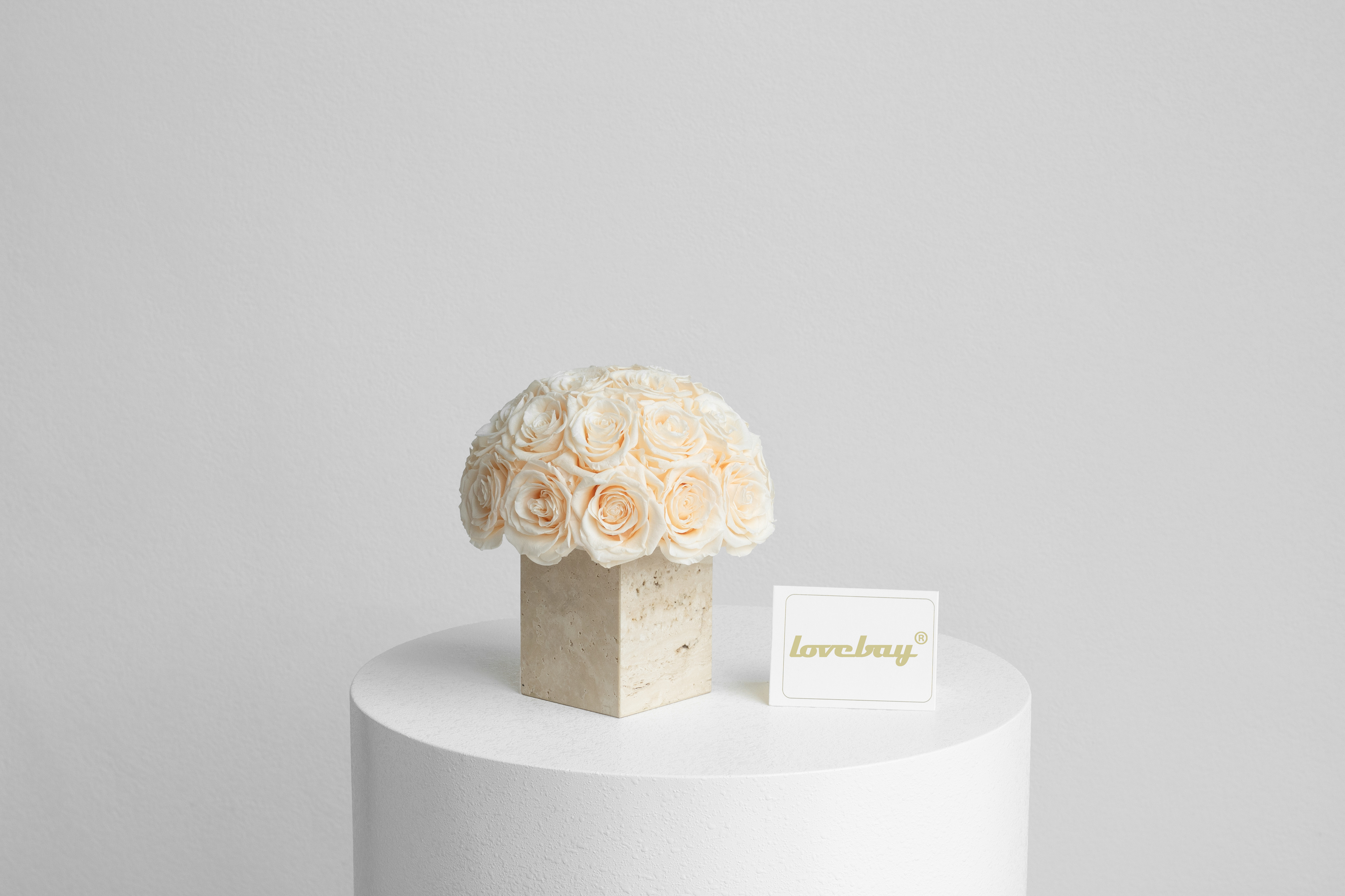 Champagne Carré 24Roses