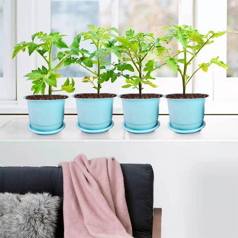 Pot de fleurs bleu "plateau de base"