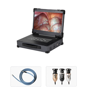 Gran precio, sistema médico portátil, pantalla de fuente de luz integrada, pantalla de endoscopio para procedimientos de imágenes médicas - Product Image 6