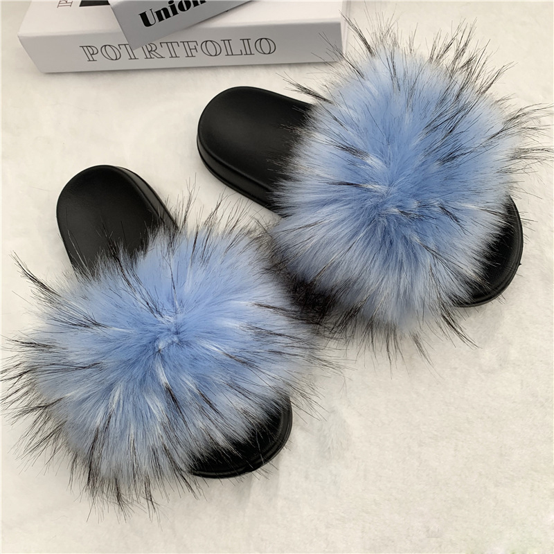 Raton laveur bleu clair