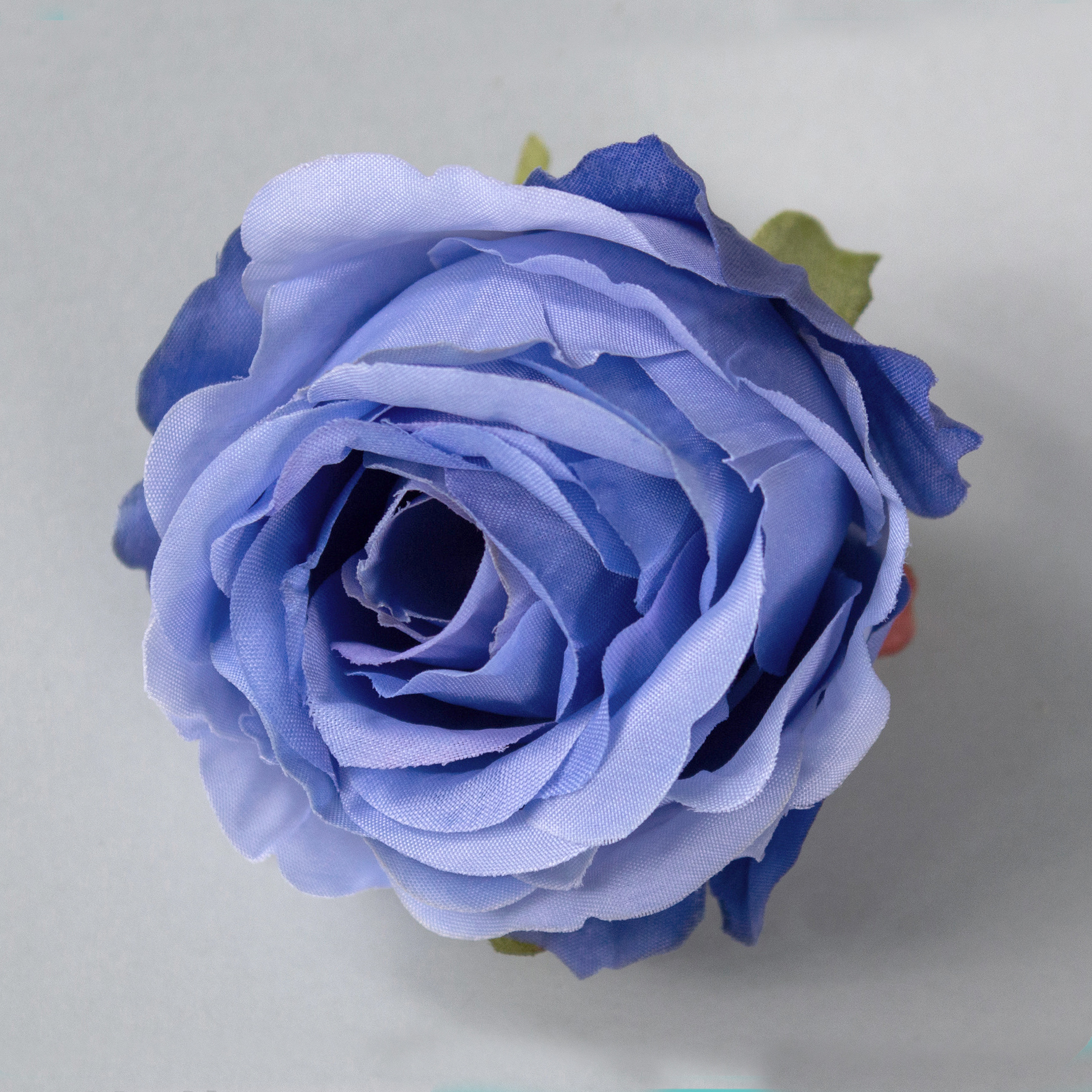 Bule purple