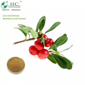 Bearberry Leaf Extract Powder <strong>Uva</strong> <strong>Ursi</strong> <strong>P.e</strong>. <strong>Uva</strong> <strong>Ursi</strong> Leaf Extract With Ursolic Acid - Product Image 2