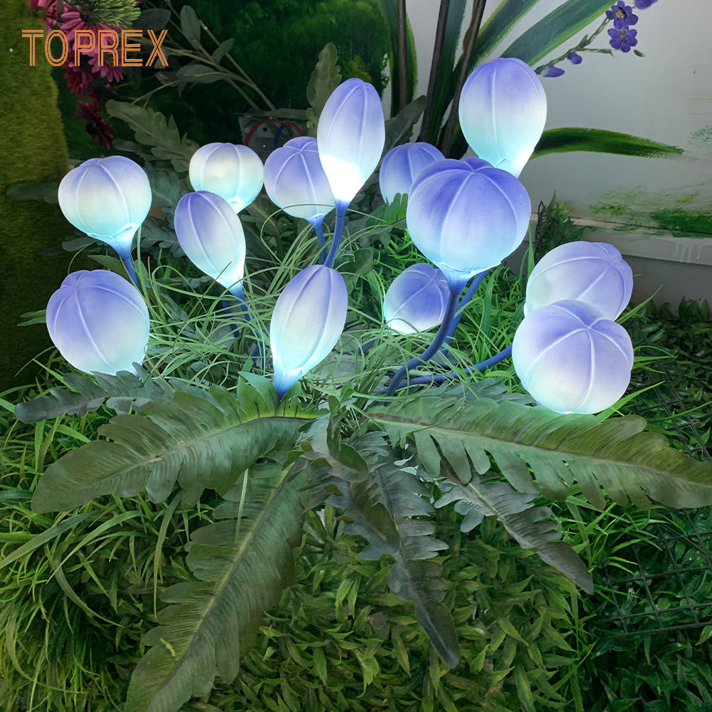 ผลไม้วิเศษ