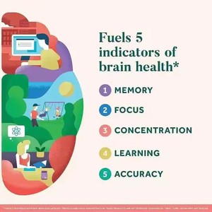 High Quality <strong>Brain</strong> Supplements for <strong>Memory</strong> <strong>Improve</strong> <strong>Memory</strong> Better <strong>Brain</strong> Health <strong>Brain</strong> Capsules Supplements - Product Image 2