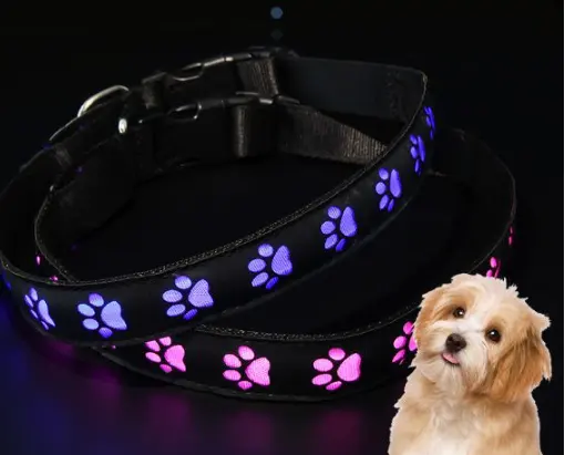 Collar para mascotas impermeable con patrón de rasguños de gato, Collar luminoso Led, Collar de cuello luminoso con carga Usb para caminar en la noche