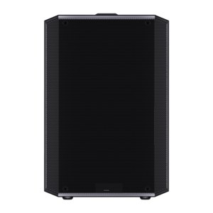 V Altavoz PA Bluetooth de 8 pulgadas con salida de 100W y canales de entrada múltiple, batería LiFePO4, grabación y entrada de guitarra - Product Image 2