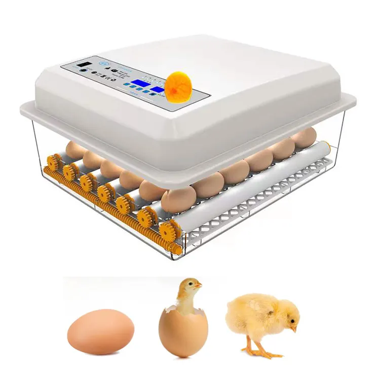 الجملة CE المعتمدة التلقائي عالية الجودة البسيطة الكهربائية Ac220v جهاز تفريخ بيض الدجاج