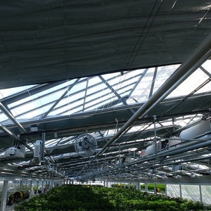 单跨温室光剥夺温室二手蔬菜种植出售