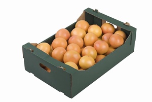 Sebze ve marul kutuları üretmek için çevre dostu su geçirmez karton kutu karton kutu - Product Image 4