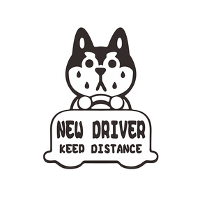 Venda quente Promocional Chrome Carro Janela Decalque Adesivo Ao Ar Livre com 1 Ano de Garantia PPF Pintura Proteção Film <span class=keywords><strong>Car</strong></span> Body <span class=keywords><strong>Logo</strong></span> Tipo