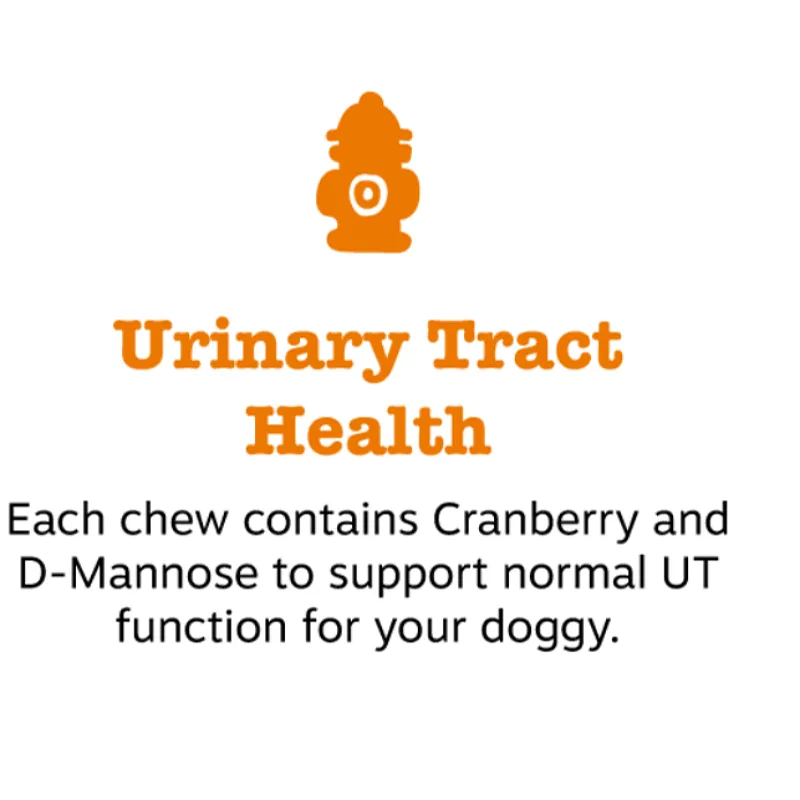 Укусы Клюквенного мочевого пузыря для собак-здоровье почек и мочевыводящих путей-мягкие жевательные с D-маннозой, витамином B6 и L-аргинин