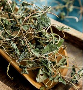 Jin Qian Cao Raw Dried Herba Lysimachiae Christiniae Wild Herb for Sale