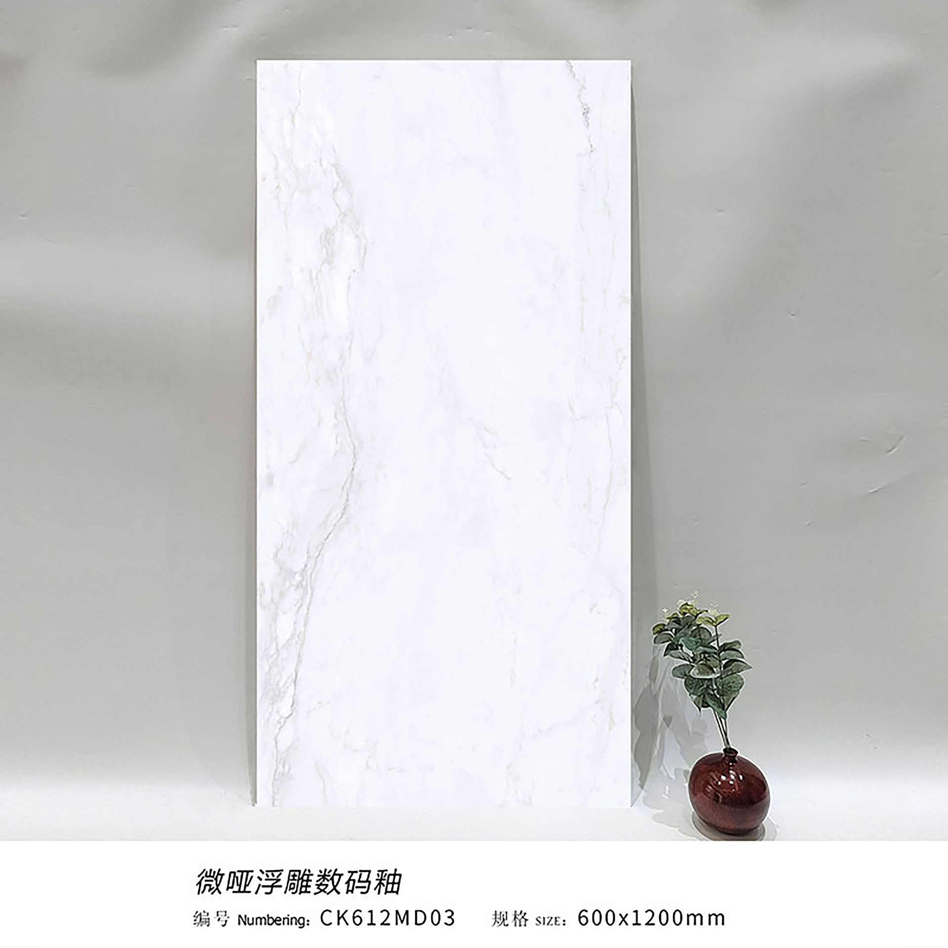 Alpine blanc ck612md03 - 600x1200mm