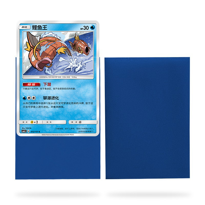 Bleu 66x91mm (100 pièces)