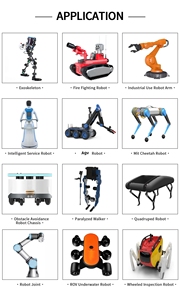 CubeMars RI50 küçük DC yüksek performanslı çerçevesiz fırçasız Robot kol Mit proje Servo Motor - Product Image 6
