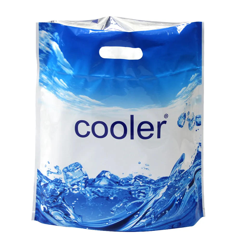 Promotie Blauwe En Witte Pe Plastic Reefer Tas Geïsoleerd Opvouwbare Picknick Draagbare Ijspak Eten Hot Bag Custom Reefer Bag