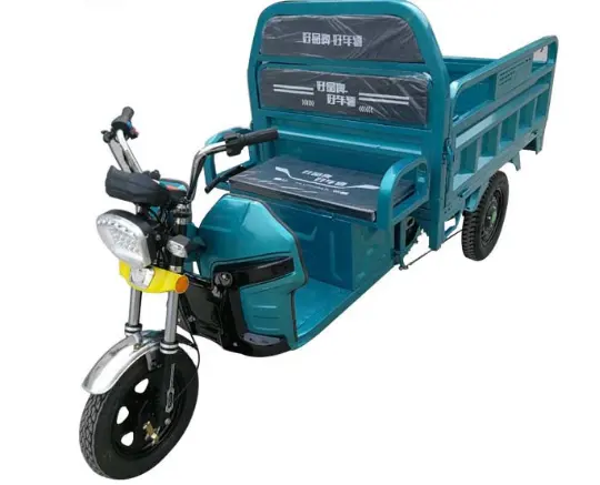 OEM New Three Wheel Adult Car Fashionable Leisure Electric Passenger Tricycle 1000kg Loading Capacity Cargo Pedicab