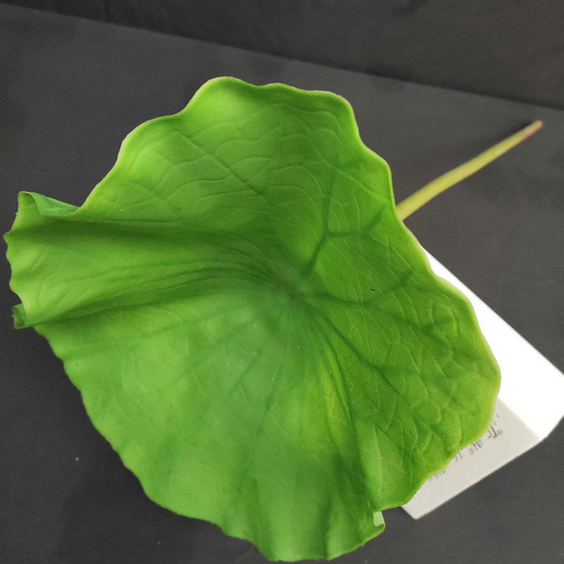 Menta