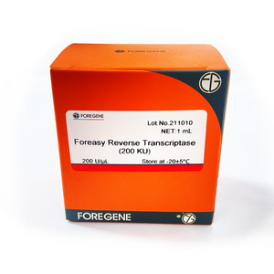 Real Time PCR Detection Taq <strong>Polymerase</strong> Foreasy Taq DNA <strong>Polymerase</strong> - Product Image 3