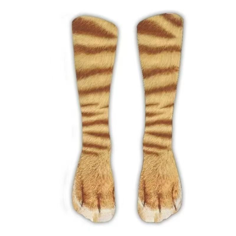 Chat orange