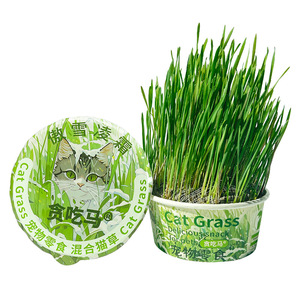 Kit de semillas de hierba gatera de crecimiento rápido para interiores sin suelo, golosinas de hierba gatera fresca para gatos, alivio del estrés en interiores - Product Image 5
