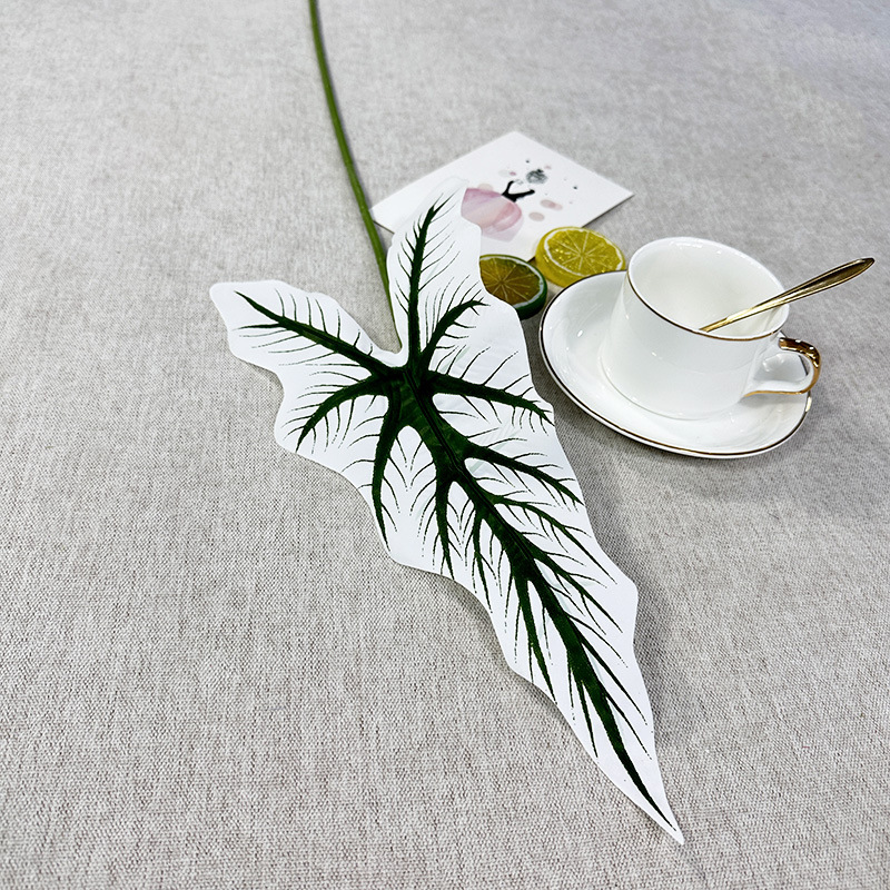 Seul calla lily joint blanc