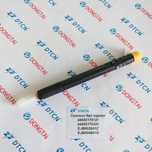 DELPH1 dizel yakıtlı motor yüksek basınçlı enjektör Engine 02601z Engine 04601d Ssangyong 50170321 Ssangyong 50170121 motor Ssangyong için - Product Image 6
