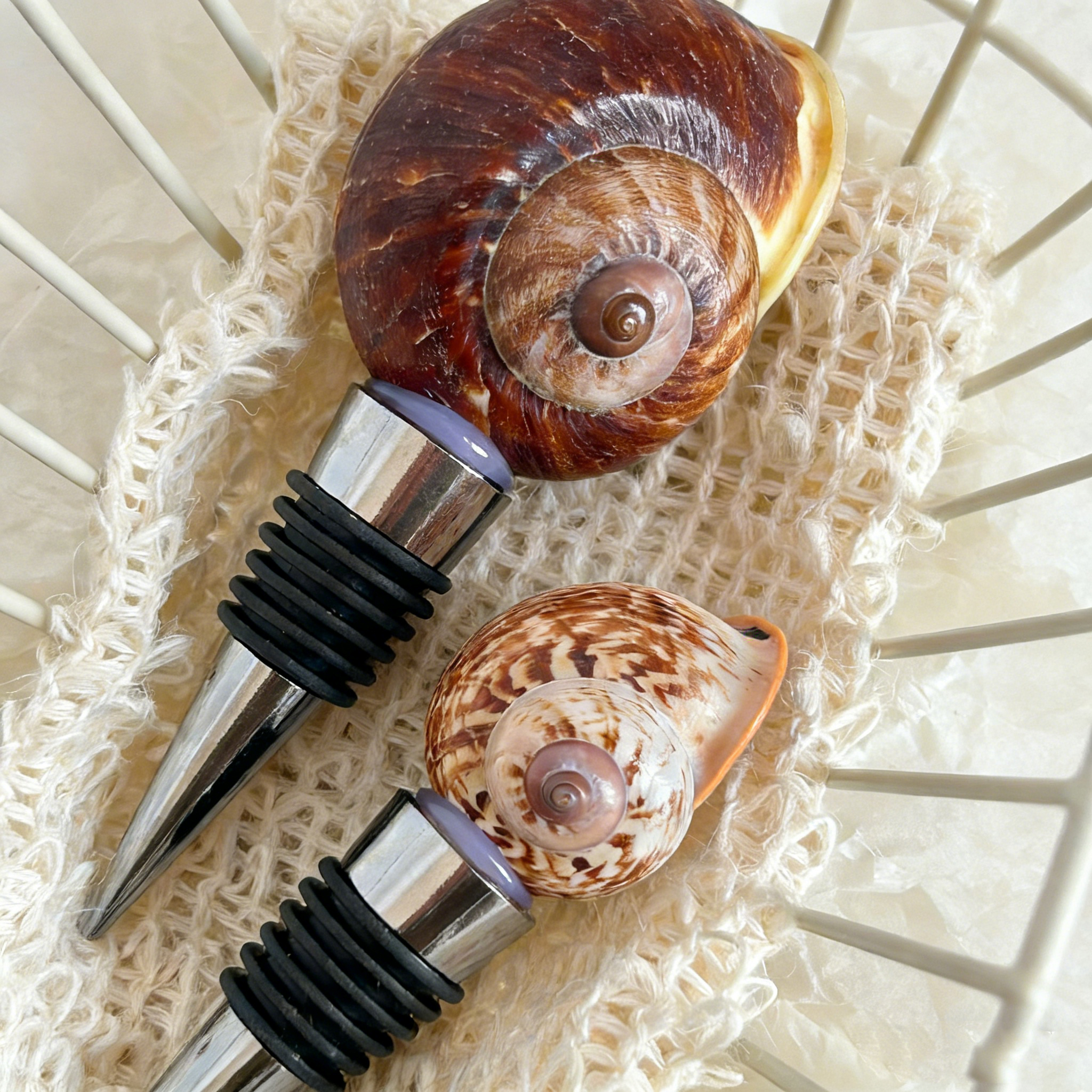 Caracol de bollo al vapor