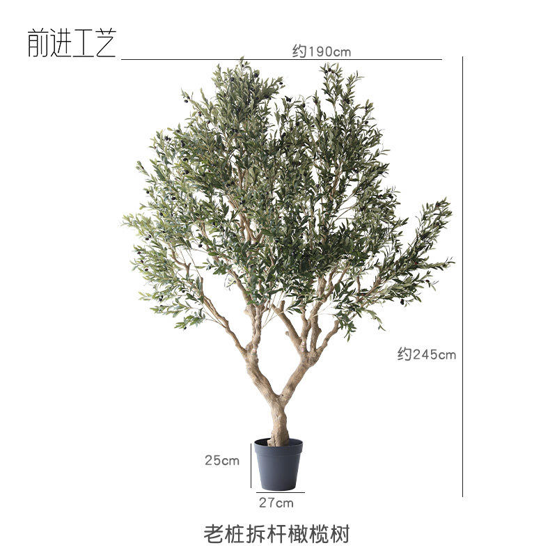 Old stump dismantling olive tree