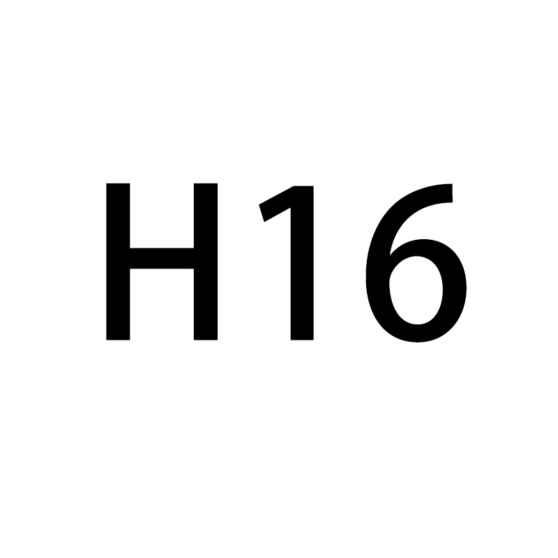 H16/5202