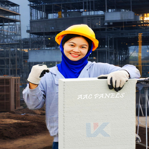 Aac PanelsオーストラリアコードマークアパートConst Ytong Aac壁パネル価格住宅原材料Eastland Aacパネル - Product Image 3