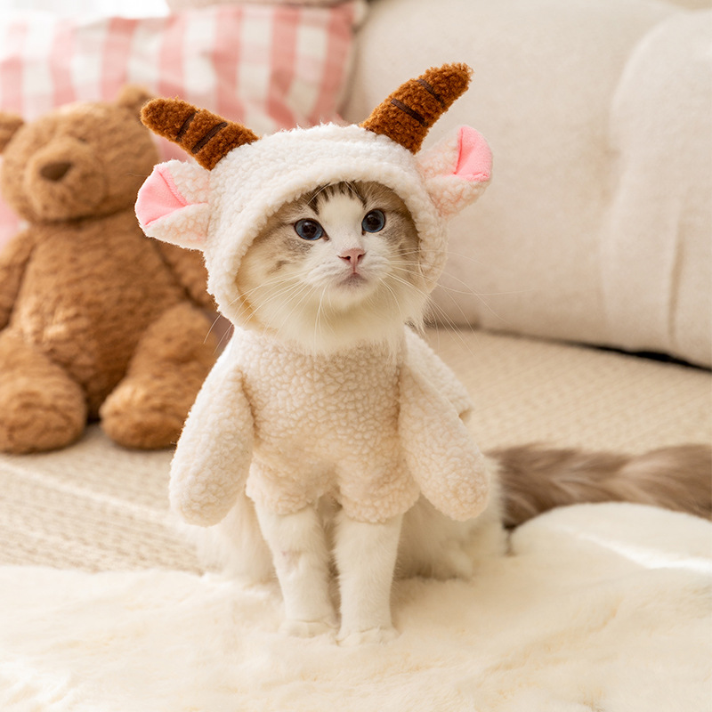 Sheep costume