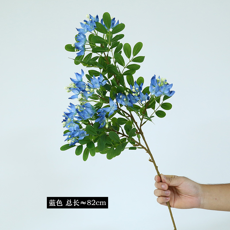 5 bleu