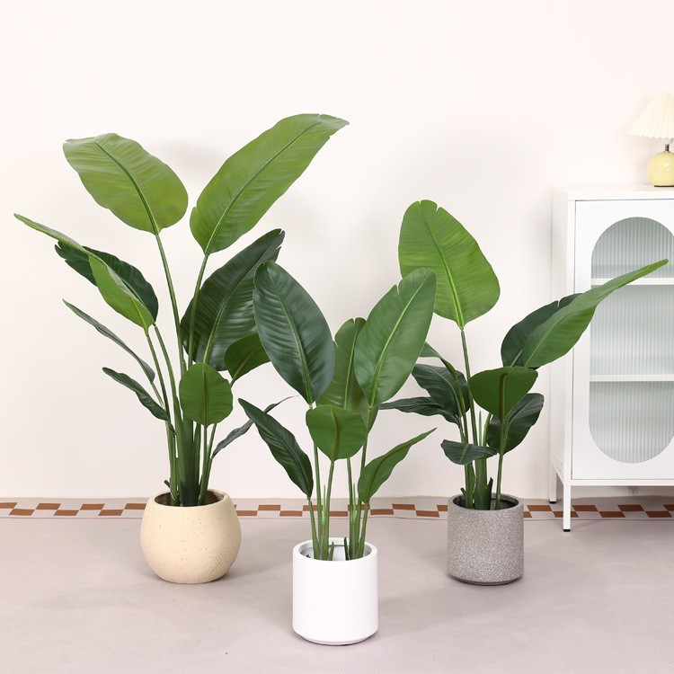 Bryum traveler banana-90 cm