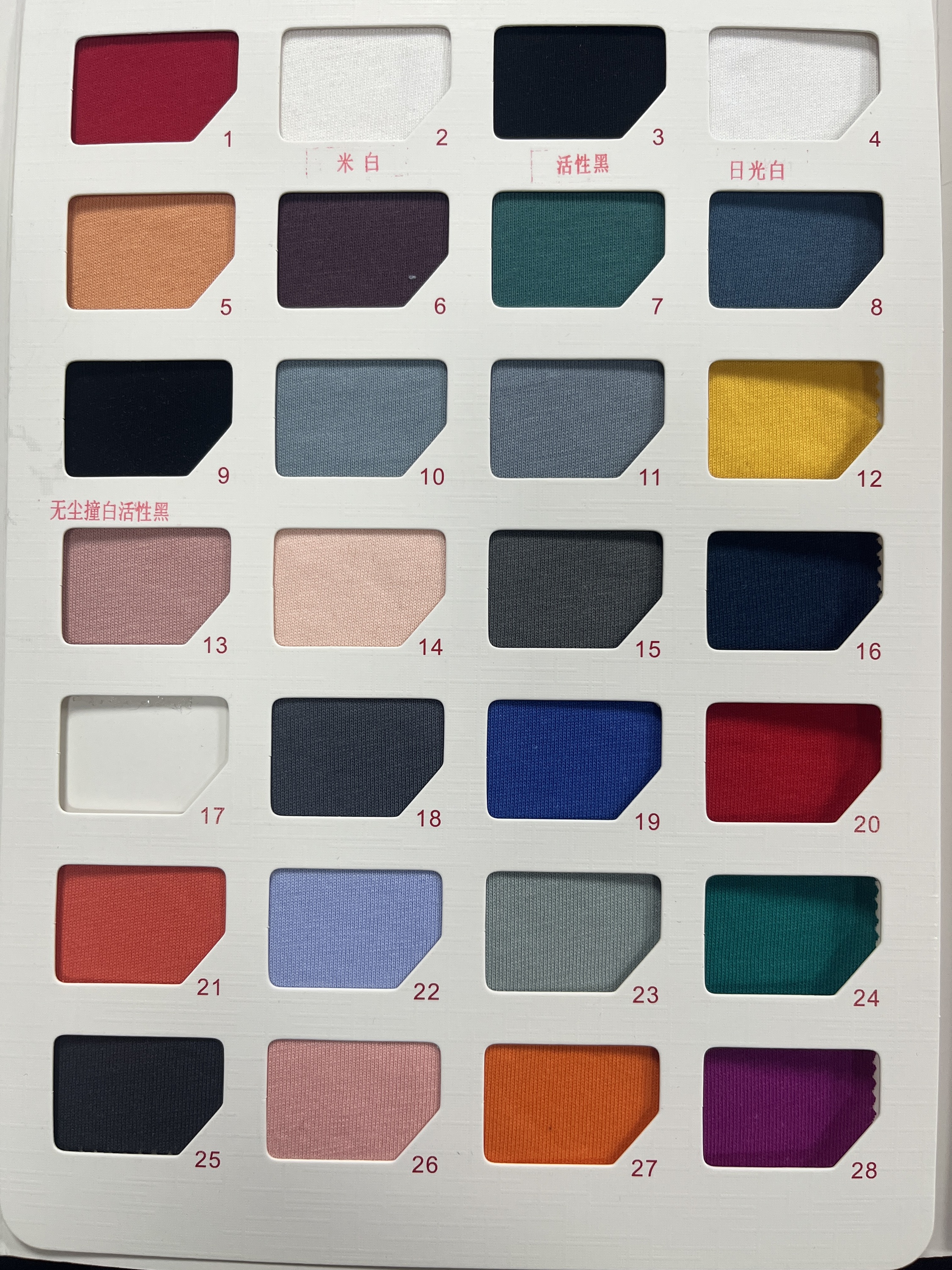 cartella colori1