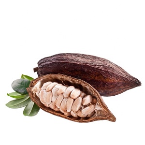 厂家直销优质可可提取物，可可碱10% -20%，可可多酚10% -20% - Product Image 1