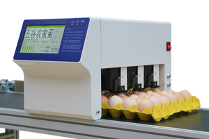 Macchina per Codifica Data su Uova DANA LN-6S Stampante di Etichette a Inchiostro Solvente 600dpi per Stampa di Logo Data Codice QR - Product Image 4