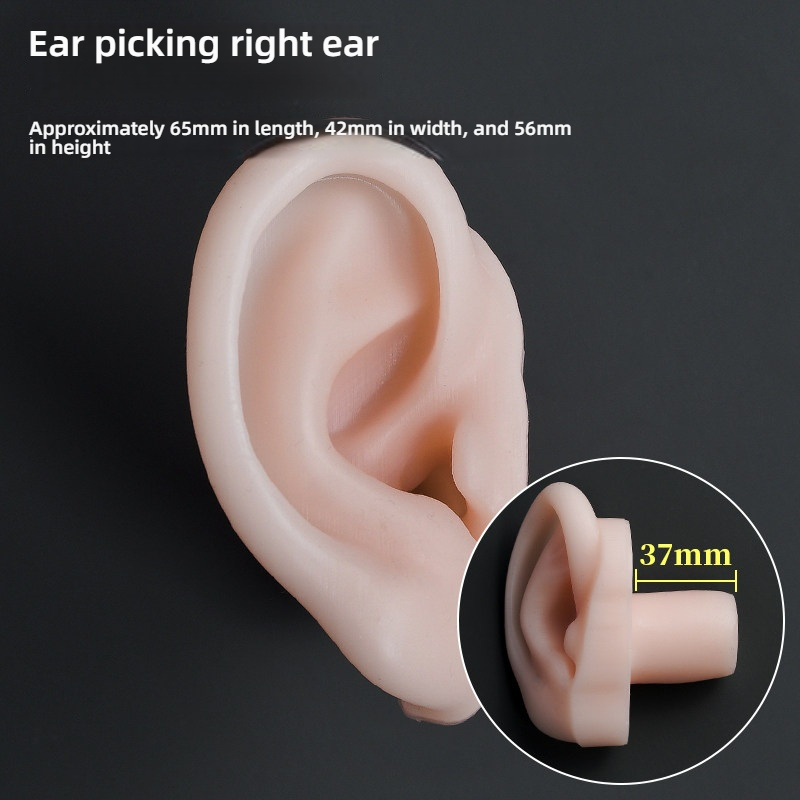 Oreille droite